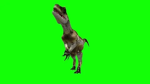 Green Screen Allosaurus Dinosaur Stock Video Footage | Royalty Free ...