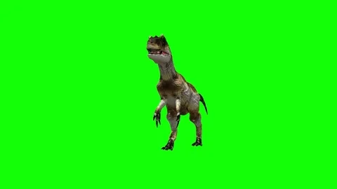 Aggressive Allosaurus Dinosaur Animation Sequence Searching on green screen. Stock Footage 76999079