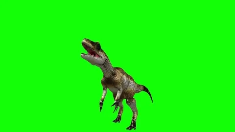 Green Screen Allosaurus Dinosaur Stock Video Footage | Royalty Free ...