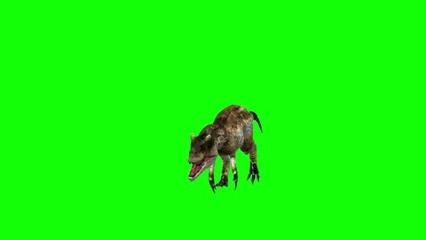 Aggressive Allosaurus Dinosaur Animation Sequence Display Teeth on green screen. Stock Footage 76999108