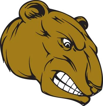 Aggressive Bear Head Mascot Logo, Fierce Animal Emblem Stock Illustration