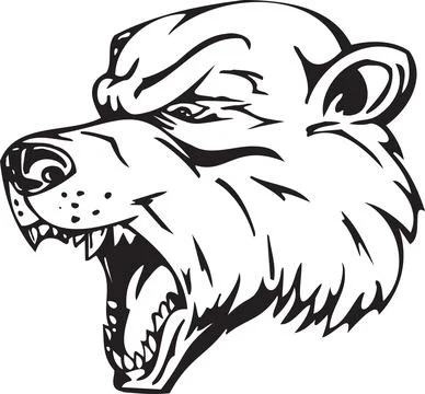 Aggressive Bear Head Roaring, Ferocious Animal Illustration Stock Illustration