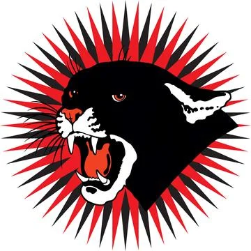 Aggressive Black Panther Roaring with Red and Black Starburst Background Stock Illustration
