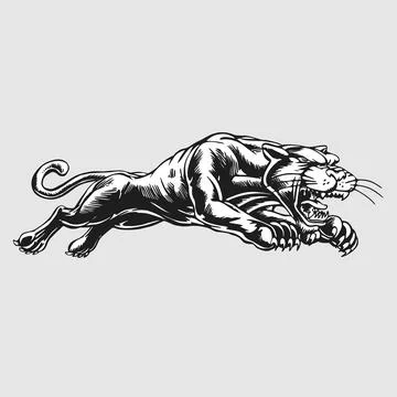 Aggressive Black Panther Running, Roaring, Clawing, Wildlife Illustration 스톡 일러스트