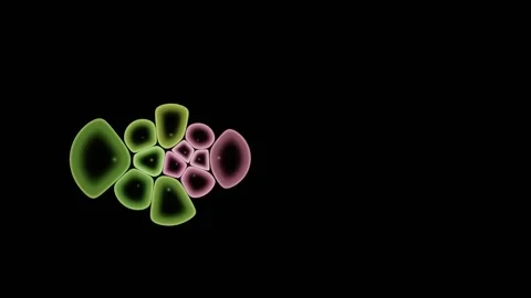 Aggressive Cell Population Invades An Established Colony Stock-Footage 344512611