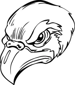 Aggressive Eagle Head Tattoo Design - Black and White Line Art Stock Illustration