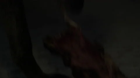 Aggressive gray wolf eating meat at night 库存影片 67554842