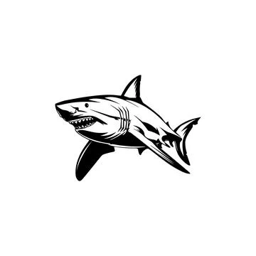 Aggressive Great White Shark. Vector icon. Stock Illustration