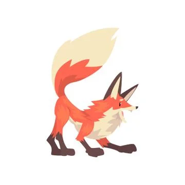 Aggressive Red Fox Character Cartoon Vector Illustration Stock Illustration