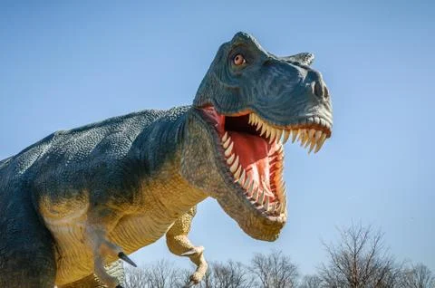 Aggressive t-rex Stock Photos