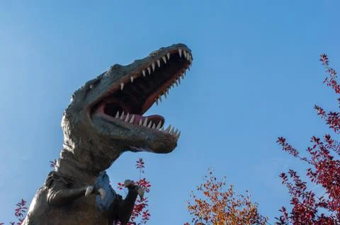 Aggressive T-Rex Stock Photos