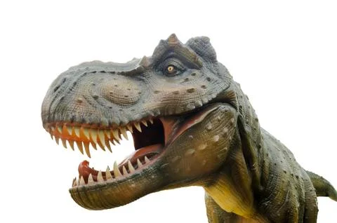 Aggressive T Rex on white background. Foto stock