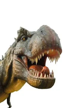 Aggressive T Rex on white background. Foto stock