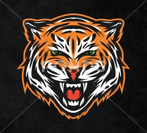 Aggressive tiger face. On dark background. Stock Illustration
