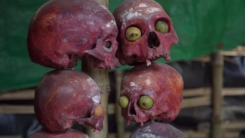 Aghori post-mortem ceremony ritual skulls close-up Видео 284632399