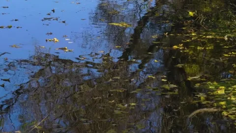 Agidel River Reflection, South Ural, Russia  Serene Nature Footage Stock Footage 318480135