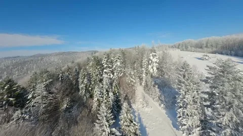 Agile flight over a forest covered with frost on the mountain slopes Stock Footage 302843642