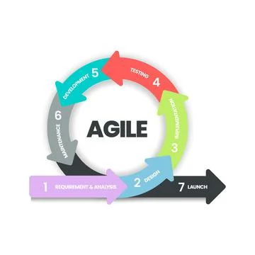 Agile lifecycle methodology infographic is a processes to create and respond  Stock Illustration