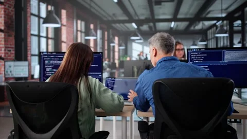 Agile Pair Programming: Extreme Software Development Methodology Stock Footage 318310007