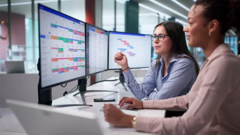 Agile Project Management Software Stock Footage 329304911