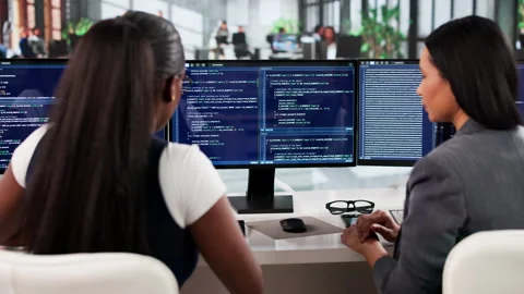 Agile Software Engineer Leading Team Stock Footage 333844524