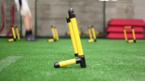 Agility Jumping Ladder 動画素材 68170322