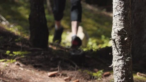 Agility runner in the forest Stock-Footage 114177010