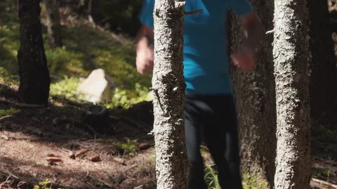 Agility runner in the forest Stock-Footage 114177056