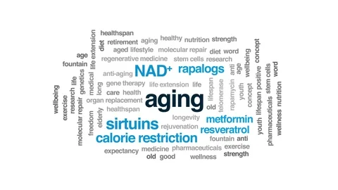 Aging animated word cloud. Kinetic typography. Stock Footage 102192968