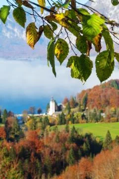 Aging beech tree branch and landscape with old catholic church in background Stock Photos