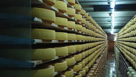 Aging Cheese Wheels in Gruyères Cellar, Switzerland Stock Footage 320266855