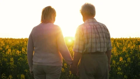 Aging couple holding hands as sun sets behind golden flowers in field Video stock 329894903