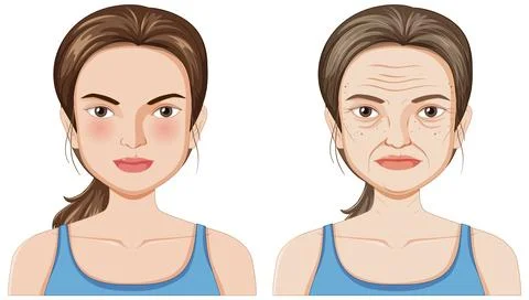 Aging Process Illustration Stock Illustration