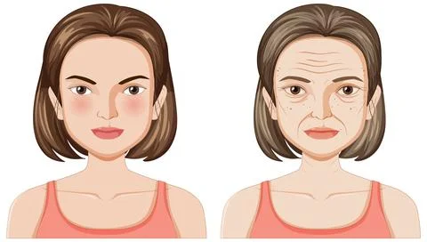 Aging Process Illustration Stock Illustration
