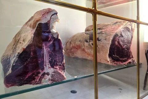 Aging Process of Raw Beef Cuts on Display for Culinary and Educational Insigh Stock Photos