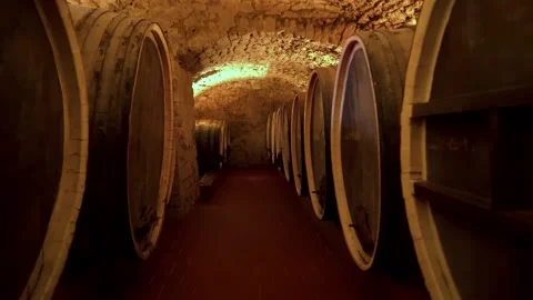 Aging of wine in oak barrels in the cellar Stock-Footage 181426964
