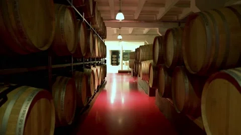 Aging of wine in oak barrels in the cellar Stock Footage 188804583