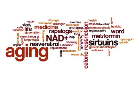 Aging word cloud. Typography. Stock Illustration