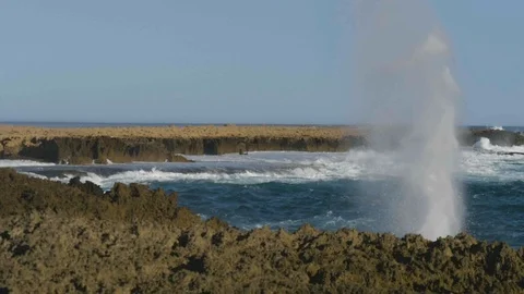 Agitated coast of australia Vidéo 92313874