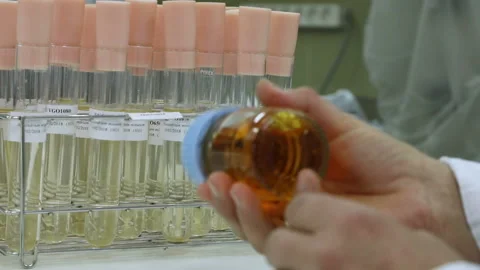 Agitating sample in the lab Stock Footage 145361990