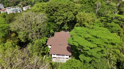 Agnes Keith Aerial View Video stock 307133019