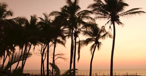 Agonda Sunset Time Lapse Stock Footage 72997760