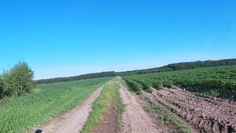 Agrarian fields of Ukraine. Stockbeeldmateriaal 277216955