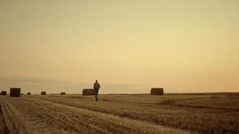 Agrarian walk haystack field at sunset countryside. Rural landscape concept Stock Photos