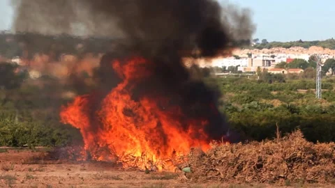 Agrcultural Fire 库存影片 141044354