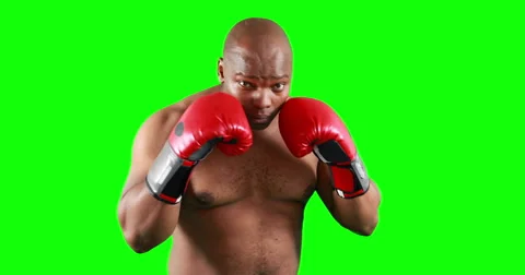 Agressive boxer posing for camera Video stock 55444029