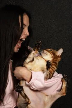 Agressive cat Stock Photos