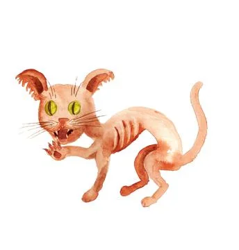 Agressive red cat Stock Illustration