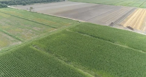 Agri-UAV distribute Trichogramma eggs Vídeo Stock 114185550