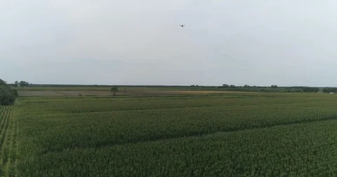 Agri-UAV distribute Trichogramma eggs Vídeo Stock 114185657